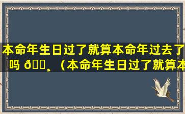 本命年生日过了就算本命年过去了吗 🌸 （本命年生日过了就算本命年过去了吗为什么）